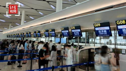 天府机场最新爆料信息网,航站楼设计揭秘,未来交通枢纽全解析