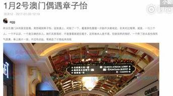 澳门最新爆料快报网址,揭秘热点事件,追踪最新动态