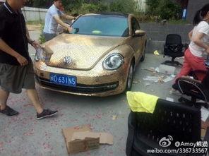 厦门新车最新爆料,最新爆料抢先看,未来车市风向标揭晓